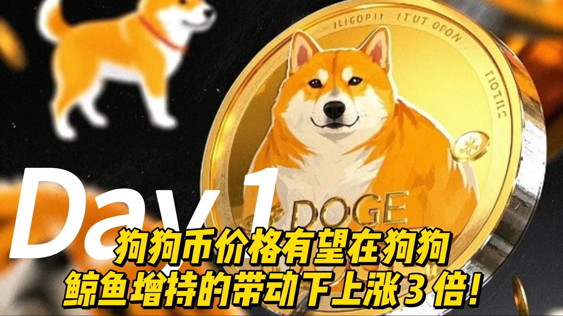 狗狗币可以兑换以太坊嘛(v神建议狗狗币与以太坊合作) 狗狗币可以兑换以太坊嘛(v神建议狗狗币与以太坊合作)